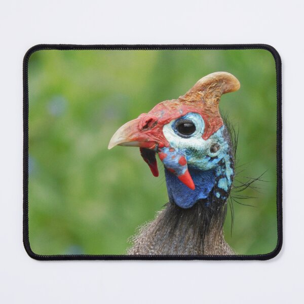 Item preview, Helmeted Guineafowl  designed and sold by Zoeljartwork.