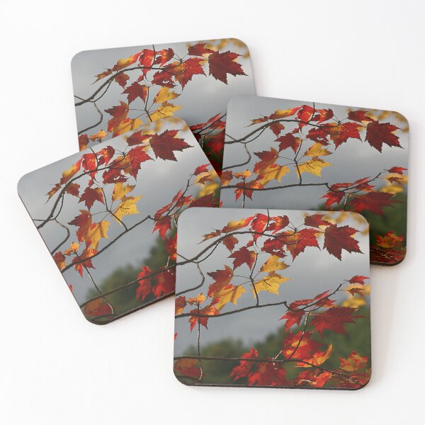 Artikelvorschau, Red Maple entworfen und verkauft von Wayne King.