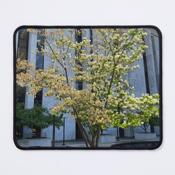 Item preview, Dogwood Tree designed and sold by Stephanie Fay.