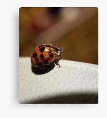 Harmonia Canvas Print