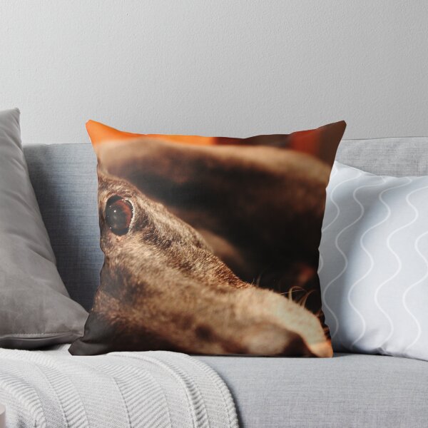 Item preview, Greyhound Eye Laying designed and sold by Oscar Dove.