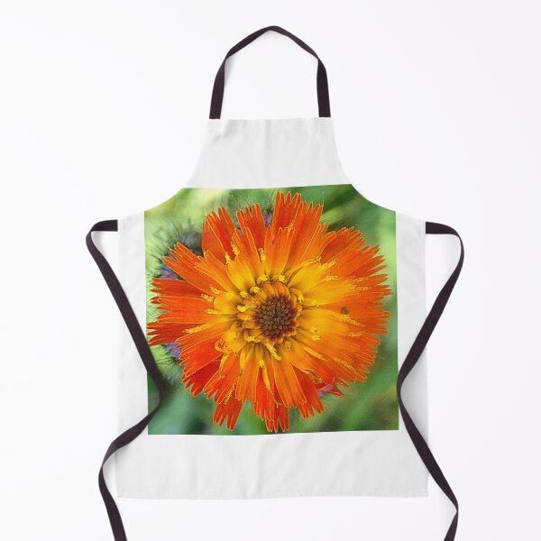 Item preview, Hawkweed designed and sold by angel1.