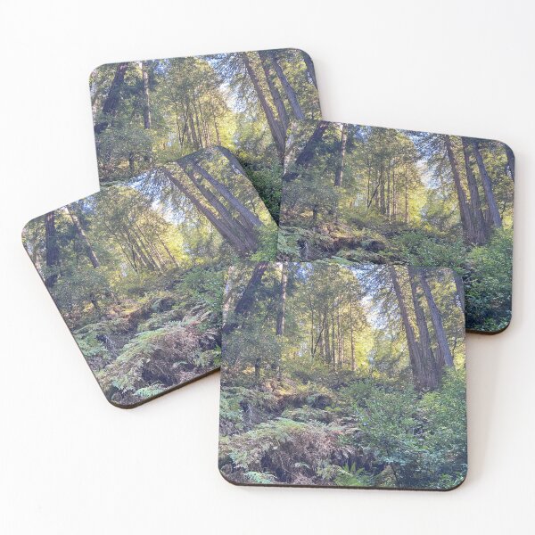 Item preview, Muir Woods National Monument - Thick Groundcover designed and sold by Mishamigo46.