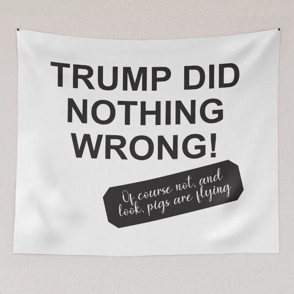 Item preview, Trump did nothing wrong designed and sold by Politics-Corner.