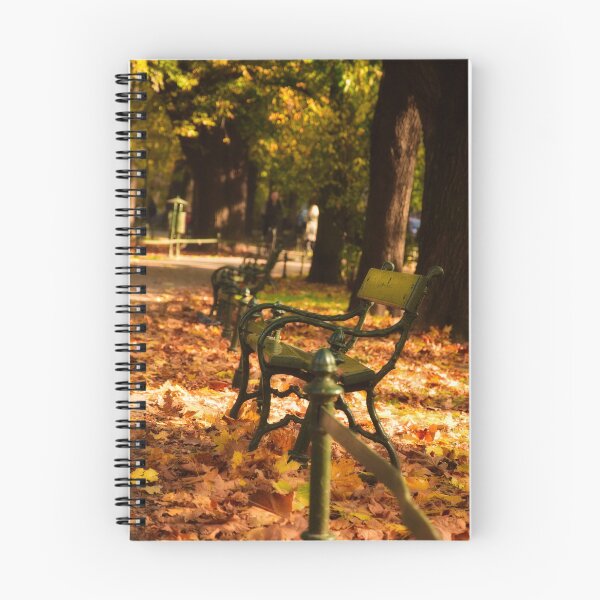 Item preview, Parque otoñal en Cracovia designed and sold by The Wolfness Photography.
