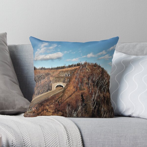 Throw Pillow