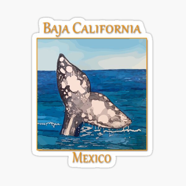 Item preview, Whale Tail in Baja California Mexico - Welshdesigns designed and sold by welshdesigns.