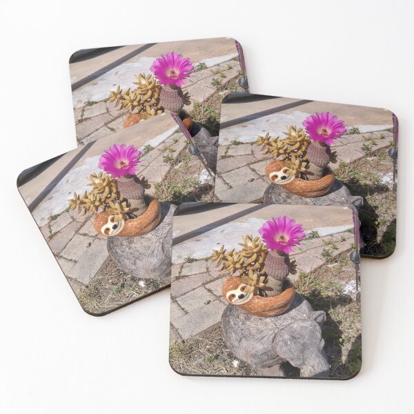 Item preview, Sloth Flowering Cactus designed and sold by SpacePrinx.