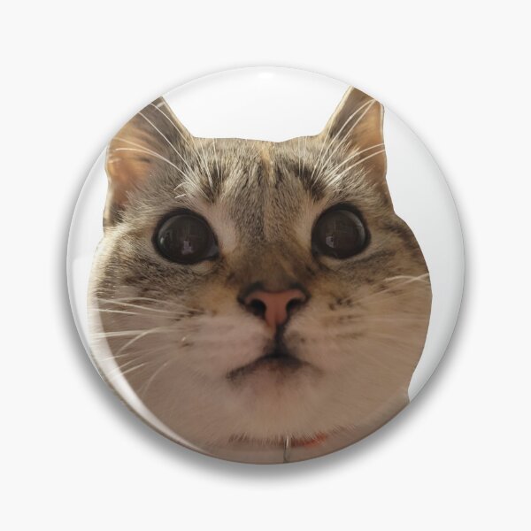 Item preview, Cute Cat Staring Intently designed and sold by GrazzysArts.