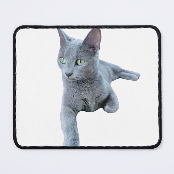 Item preview, Grey Cat Lying down Cutely designed and sold by GrazzysArts.