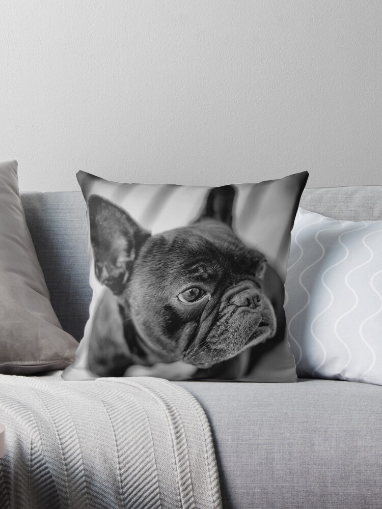NEW CUTE FRENCH BULLDOG PUPPY PHOTO BRINDLE BLACK WHITE 16/" Pillow Cushion Cover