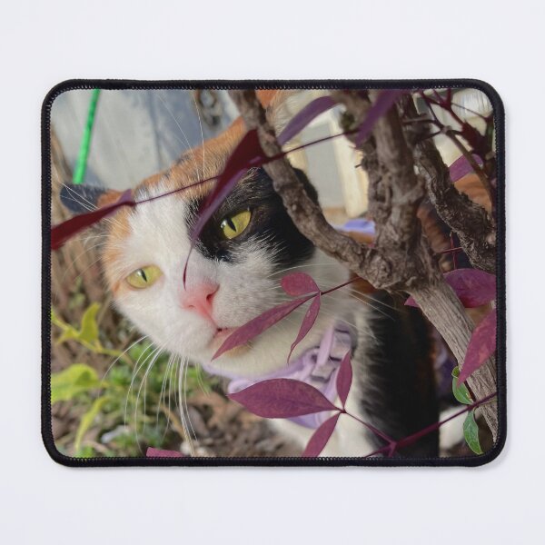 Item preview, Plum Leaves designed and sold by plumtherascal.