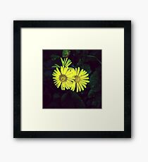 Flowers Framed Print