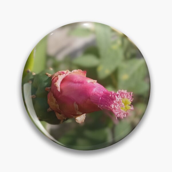 Item preview, cactus flower designed and sold by OJDM.
