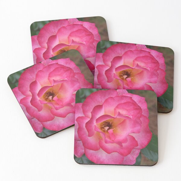 Item preview, Pink Rose Photography designed and sold by indepthdesigns.