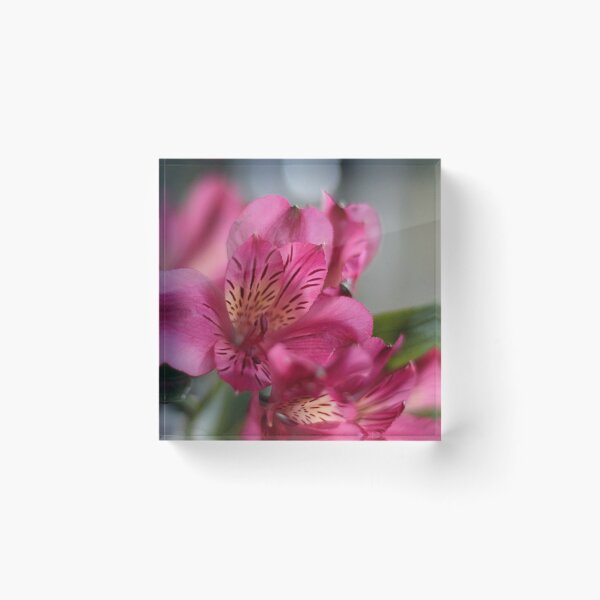 Item preview, Pink lily flowers designed and sold by Linda Crockett.
