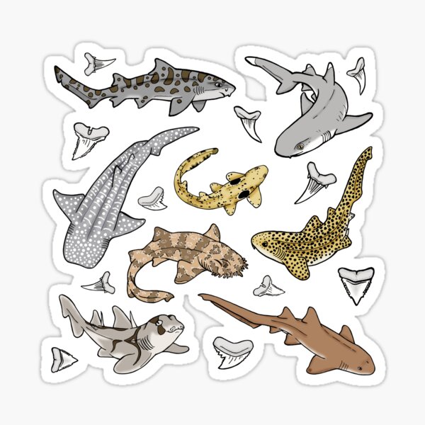 Item preview, Shark Pattern designed and sold by sharkbait83.