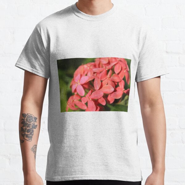 The pink flower, but not the rose Classic T-Shirt