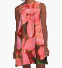 The pink flower, but not the rose A-Line Dress