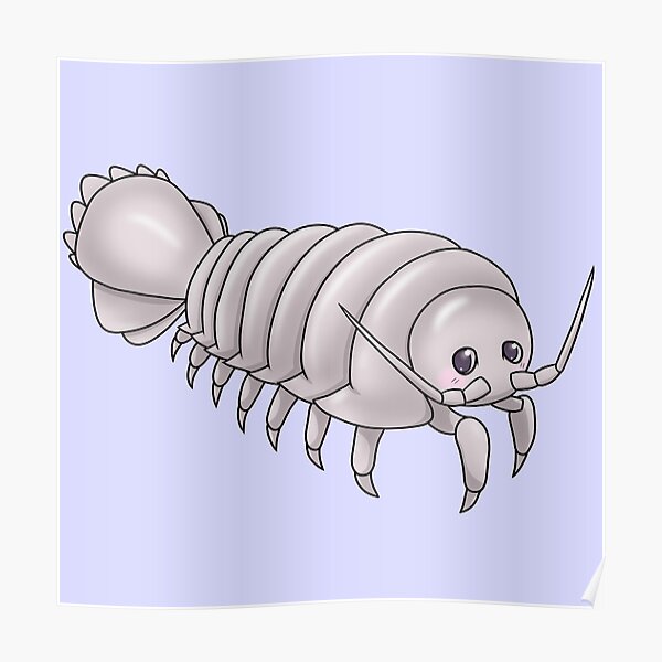 kawaii isopod