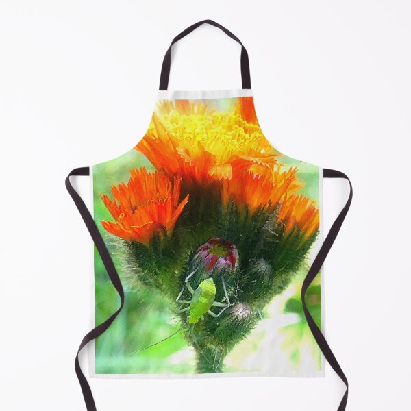 Item preview, Baby Grasshopper on Hawkweed designed and sold by angel1.