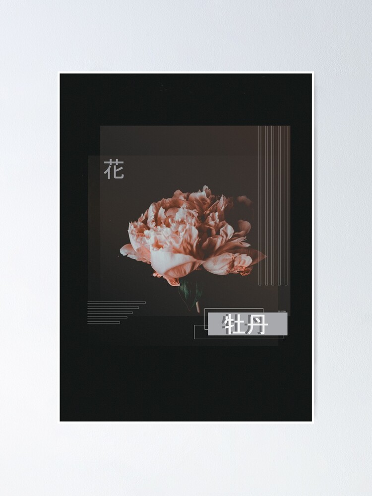 Peony Flower 牡丹 花 Poster By Leexsuh Redbubble