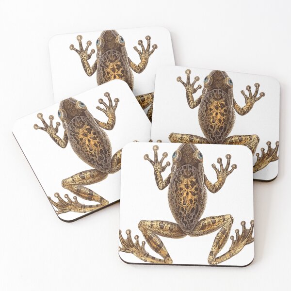 Item preview, brown sharp frog lying down to catch insects designed and sold by AdalynnRy27.