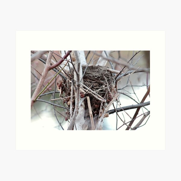Item preview, The empty nest designed and sold by Linda Crockett.