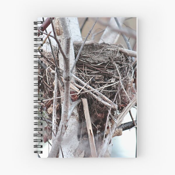 Item preview, The empty nest designed and sold by Linda Crockett.