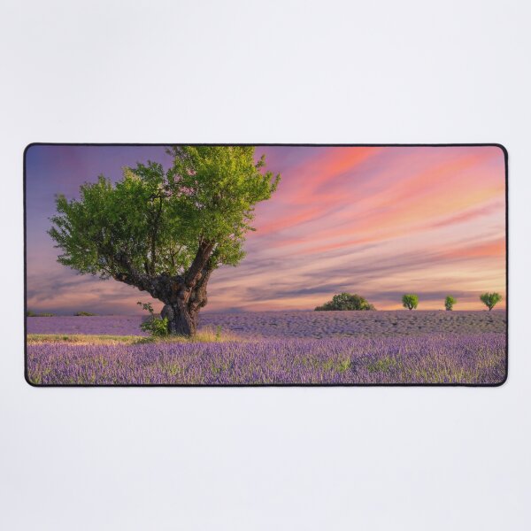 Aperçu de l'œuvre Coucher de soleil sur le champ de lavande créée et vendue par vialgames.