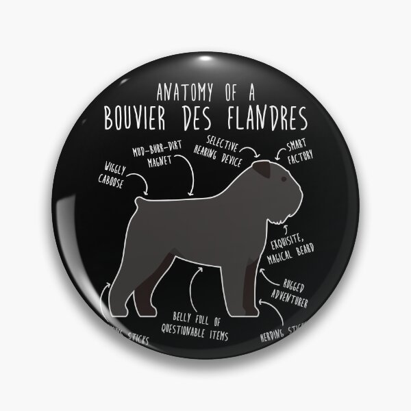 Item preview, Bouvier Des Flandres Dog Anatomy designed and sold by Clara Hollins.
