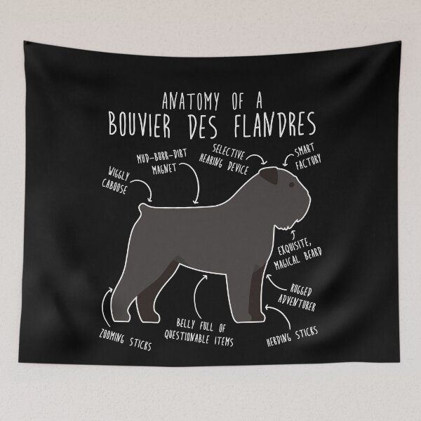 Item preview, Bouvier Des Flandres Dog Anatomy designed and sold by Clara Hollins.