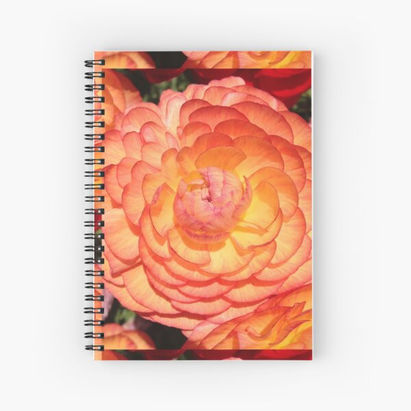 Vibrant Full Blooming Rose Spiral Notebook
