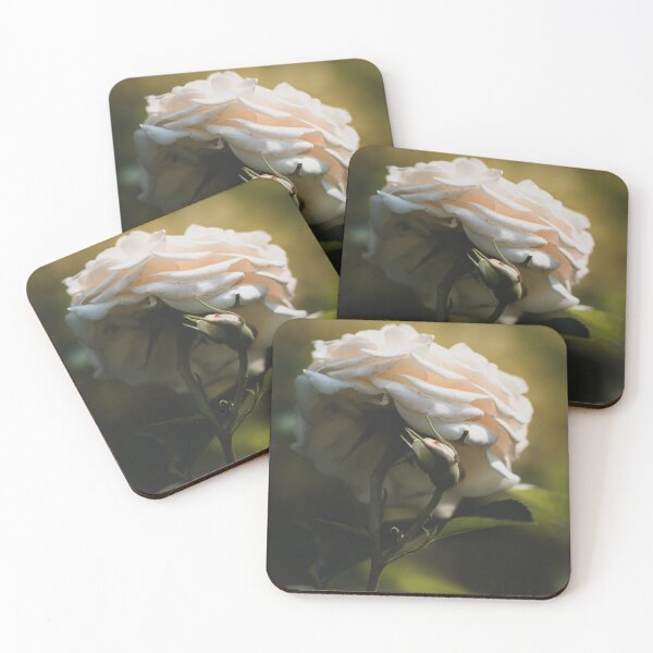 Item preview, Rose White designed and sold by Benkilbeyprints.
