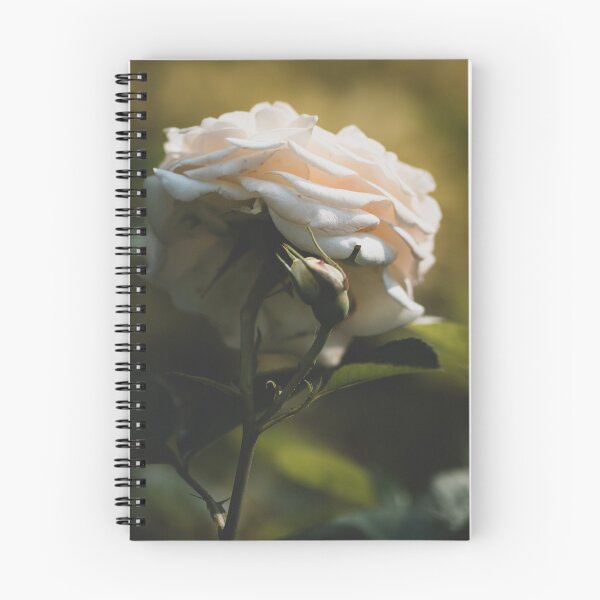 Item preview, Rose White designed and sold by Benkilbeyprints.