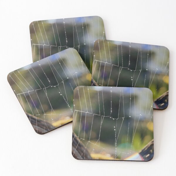 Item preview, Spider Web in the Morning Light Series (3) designed and sold by carotulu.
