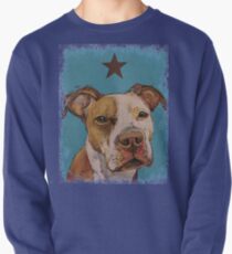 American Pit Bull Pullover