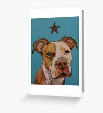 American Pit Bull Greeting Card