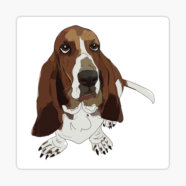 Basset Hound Dog Sticker