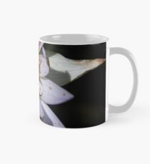 Decayed Mug