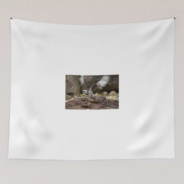 Item preview, Gotcha! designed and sold by GP1746.