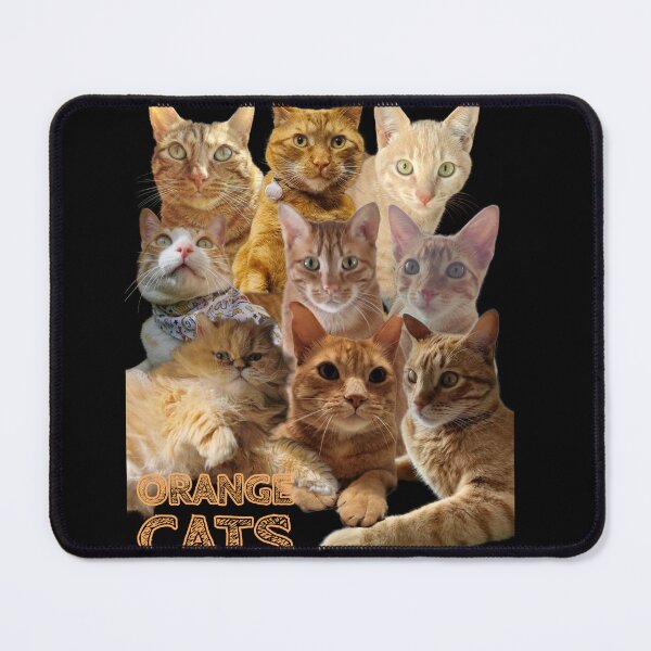Item preview, medley orange cats designed and sold by frankititogold.