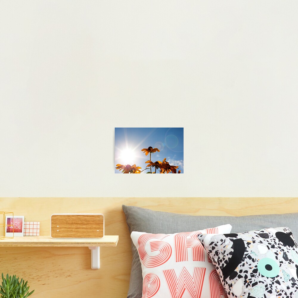 Item preview, Photographic Print designed and sold by TimPalmer.