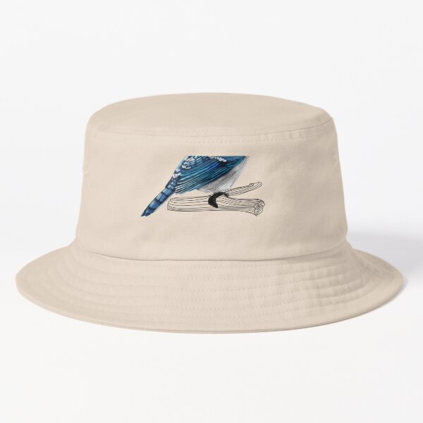 Blue Jay Bird Bucket Hat for Sale by cmd-art