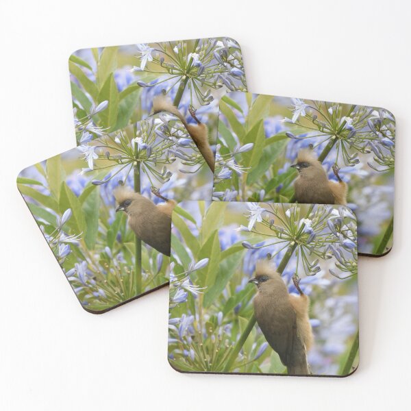 Item preview, Speckled Mousebird designed and sold by Zoeljartwork.