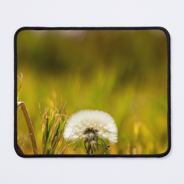 Item preview, Lonely dandelion designed and sold by ArtyBuys.
