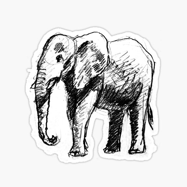 Elephant sketch Sticker