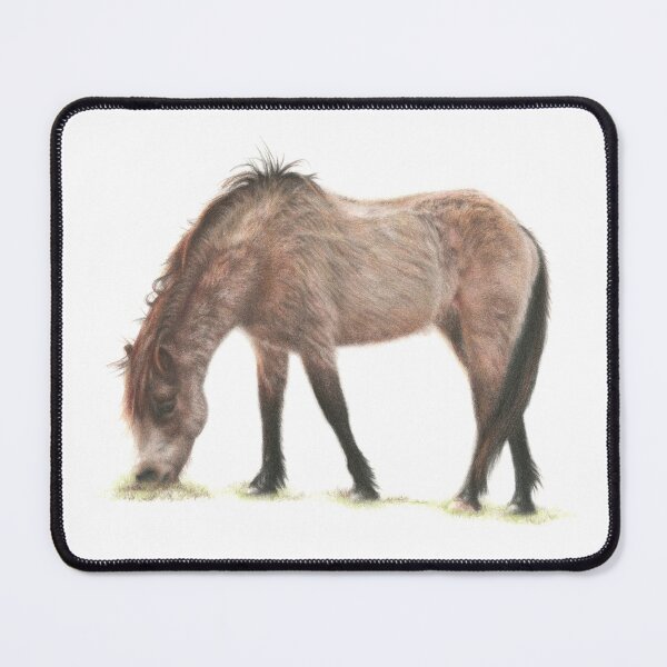 Item preview, New Forest Pony designed and sold by Grey Heron Images.