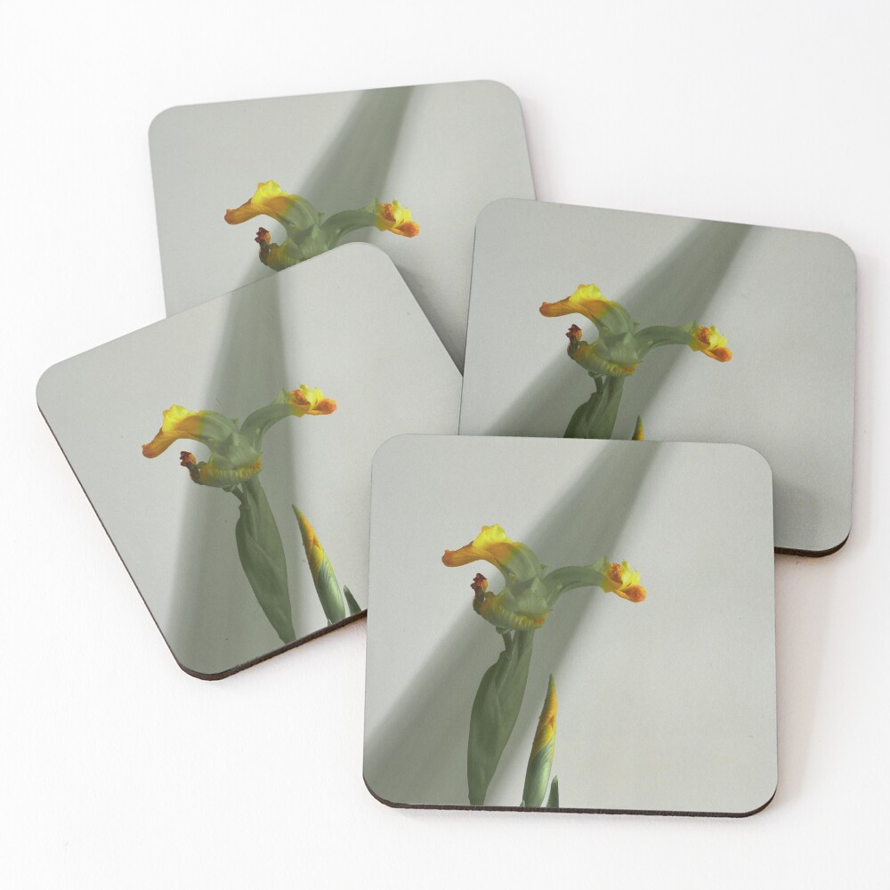 Item preview, Coasters (Set of 4) designed and sold by y---.