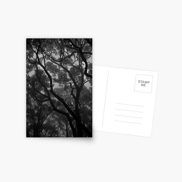 Item preview, Macedon Mist designed and sold by salsbells69.